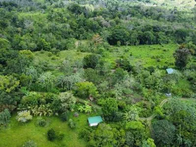 Terreno completamente plano en la selva con vistas a la montaña – Valle del Diamante, photo 4