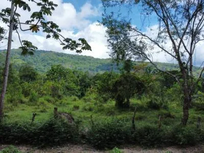 Terreno completamente plano en la selva con vistas a la montaña – Valle del Diamante, photo 5