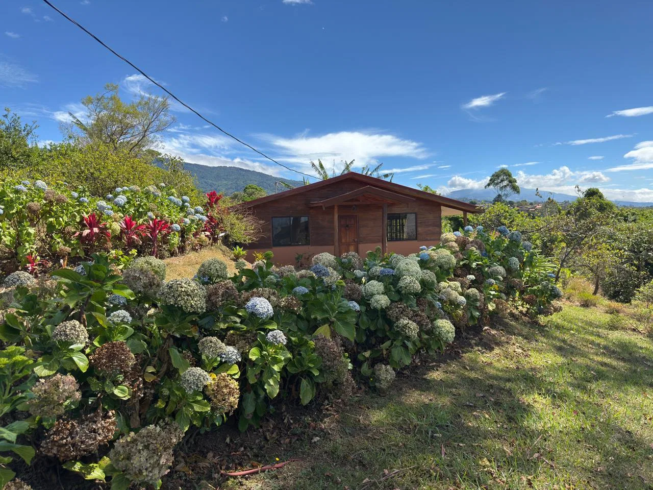 Venta de finca en San Miguel de Grecia con cabaña