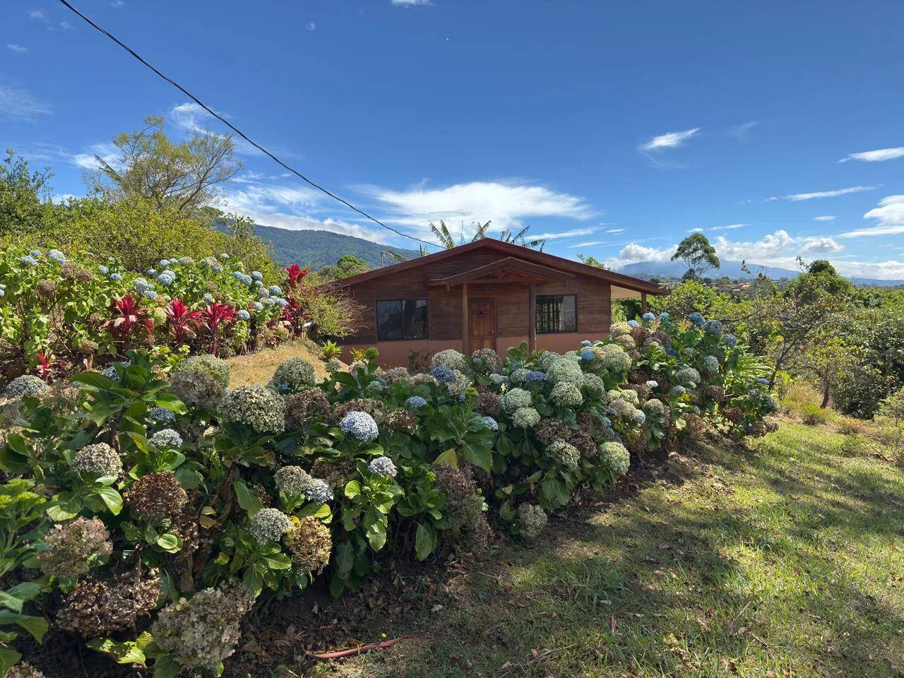 Venta de finca en San Miguel de Grecia con cabaña, photo 2
