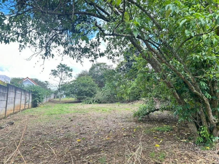 LOTE EN VENTA EN RESIDENCIAL LAS GEMAS, SANTO DOMINGO RAH 233005  - Venta en Santo Domingo, photo 14