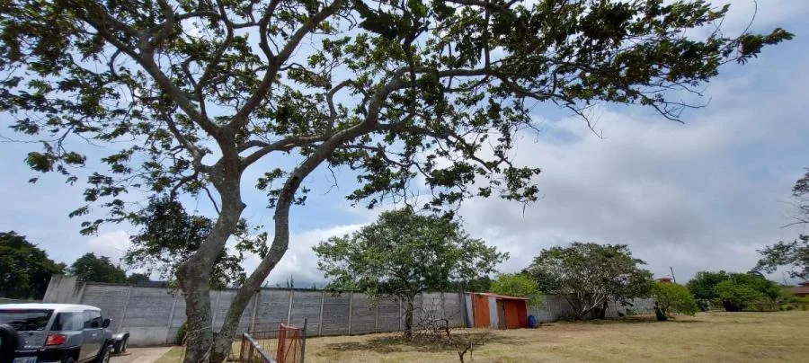 LOTE EN VENTA EN RESIDENCIAL LAS GEMAS, SANTO DOMINGO RAH 233005  - Venta en Santo Domingo, photo 10