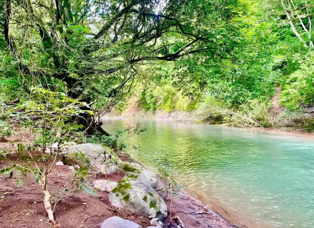 Exceptional Investment Opportunity in Orotina, Nature, Connectivity & Potential