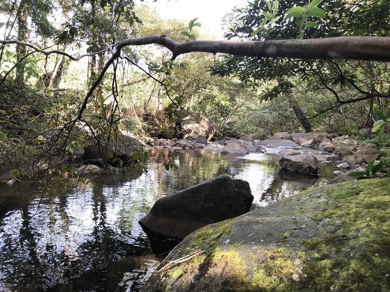 Agricultural Land in El Aguacate, photo 4