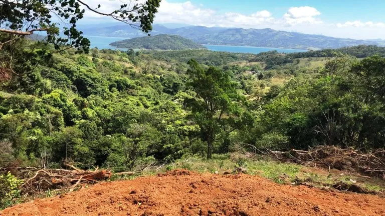 Agricultural Land in El Aguacate, photo 5