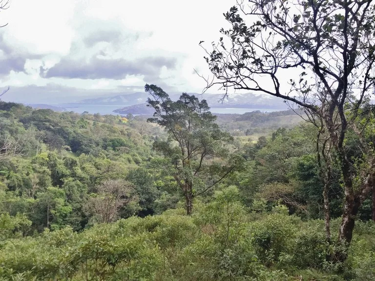 Agricultural Land in El Aguacate, photo 6