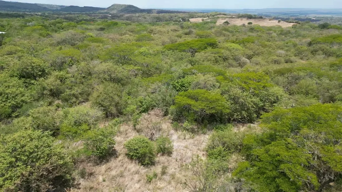 Discover an extraordinary property located in Quebrada Grande de Mayorga, Liberia, ...