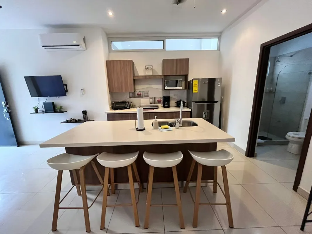 APARTMENT FOR SALE FOR INVESTMENT IN PLAYA JACO, photo 7