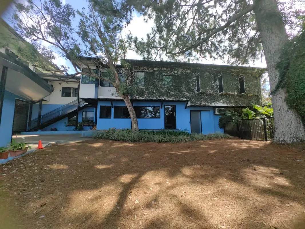 Commercial Property for Sale – Guadalupe, San José, photo 4