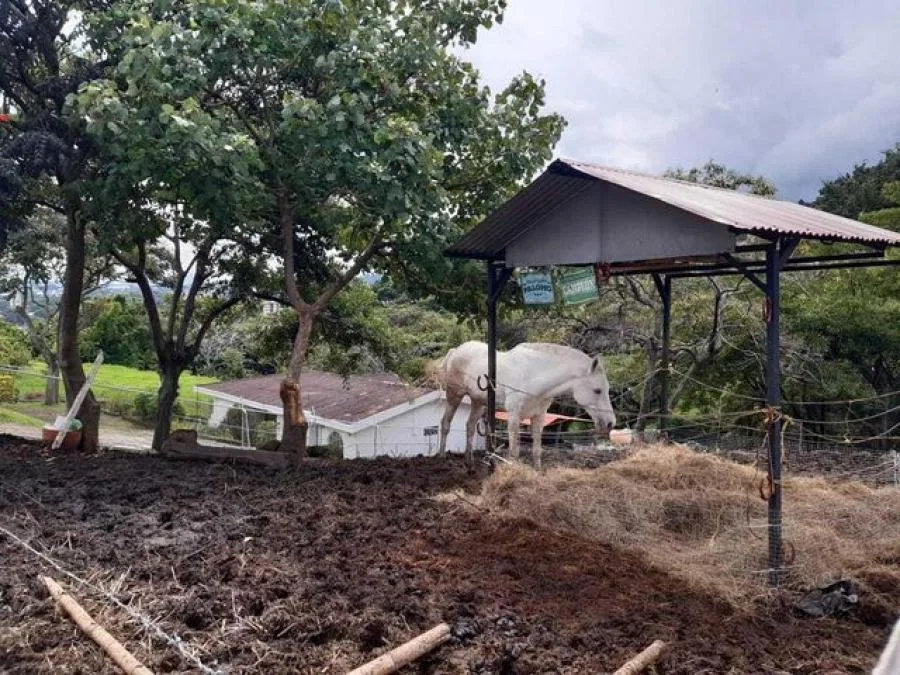 Venta de Lote en San  Rafael de Escazú. - Venta en Escazú