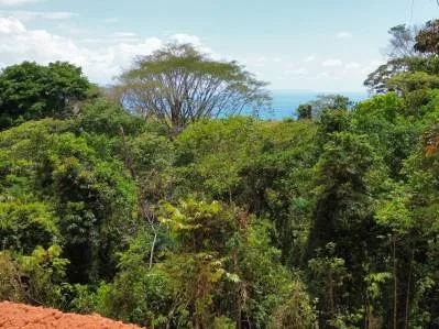 Vista al mar - 7.5 acres - Privado - Caracara Ridge, photo 3