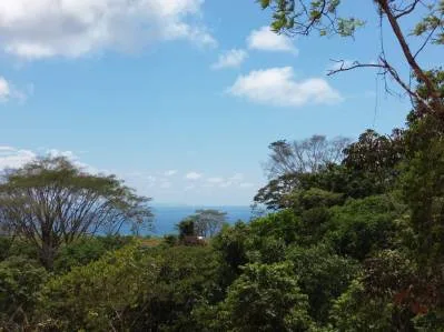 Vista al mar - 7.5 acres - Privado - Caracara Ridge, photo 5
