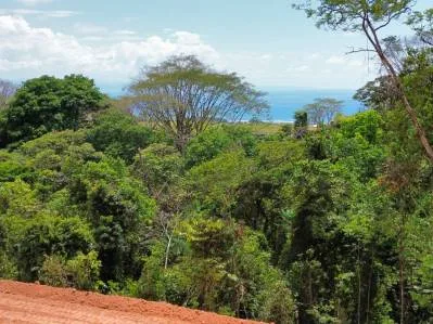 Vista al mar - 7.5 acres - Privado - Caracara Ridge, photo 6