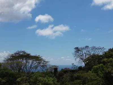 Vista al mar - 7.5 acres - Privado - Caracara Ridge, photo 7