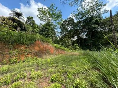 BUILDING PROPERTY IN A GATED COMMUNITY WITH MOUNTAIN VIEWS, IN OJOCHAL – 1.05 ACRES, photo 26