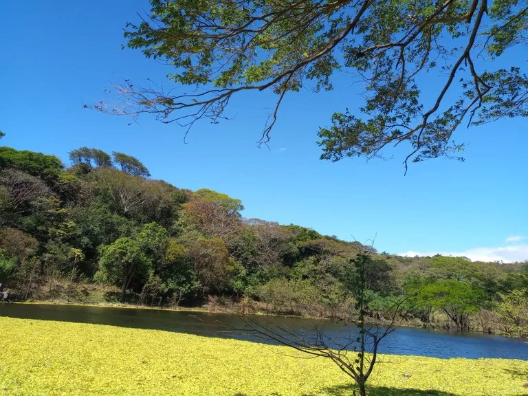 Finca Los Angeles: JUST REDUCED ! 281 Acre Farm with River, Lake, and Sunset views , photo 2