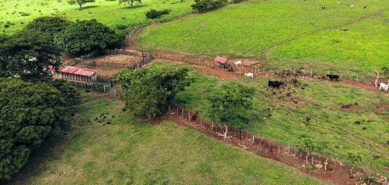 Finca Los Angeles: JUST REDUCED ! 281 Acre Farm with River, Lake, and Sunset views , photo 12