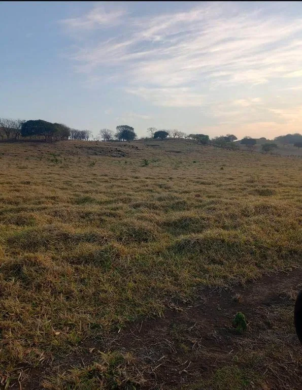 Finca Los Angeles: JUST REDUCED ! 281 Acre Farm with River, Lake, and Sunset views , photo 13