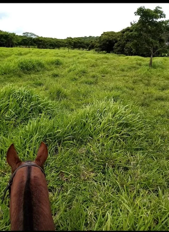 Finca Los Angeles: JUST REDUCED ! 281 Acre Farm with River, Lake, and Sunset views , photo 3