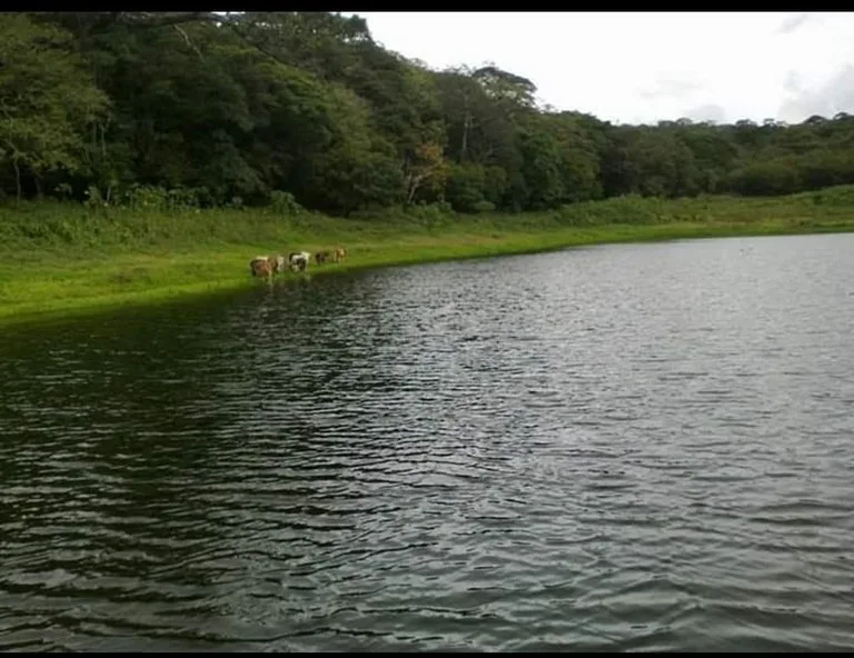 Finca Los Angeles: JUST REDUCED ! 281 Acre Farm with River, Lake, and Sunset views , photo 4