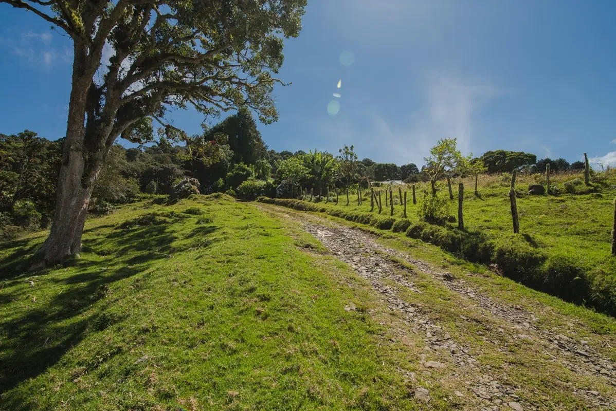 Venta de Finca en El Jardín de Dota – Naturaleza y Vista Espectacular