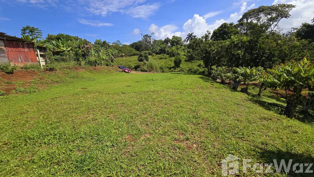 Land for Sale in Perez Zeledon, San Jose for $55,000, photo 2