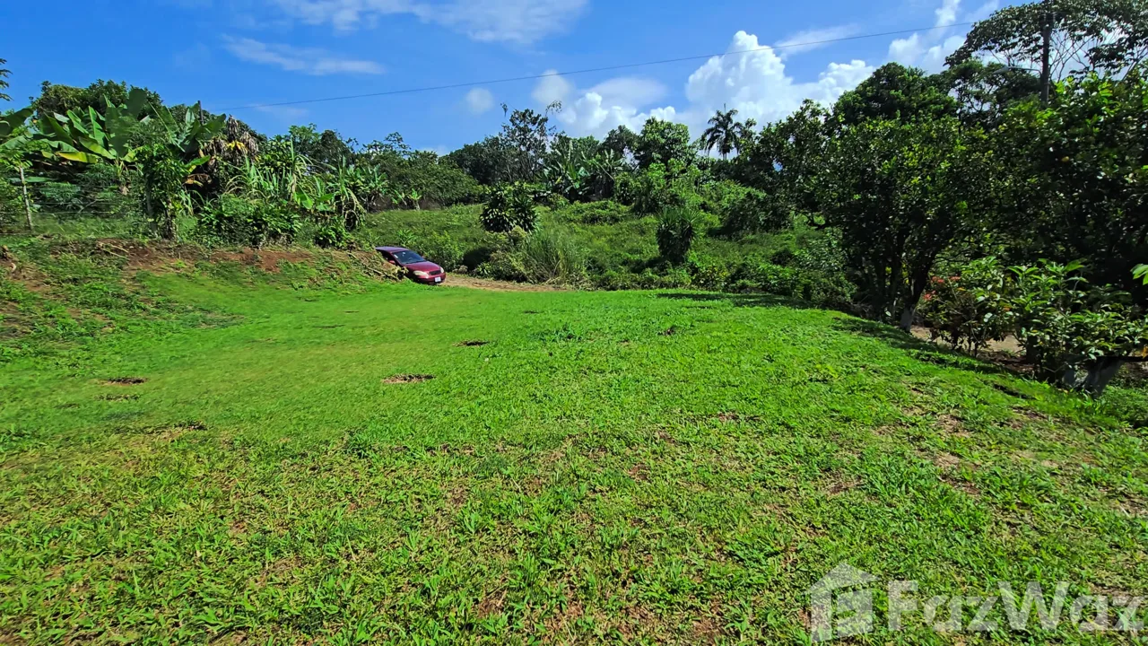 Land for Sale in Perez Zeledon, San Jose for $55,000, photo 3