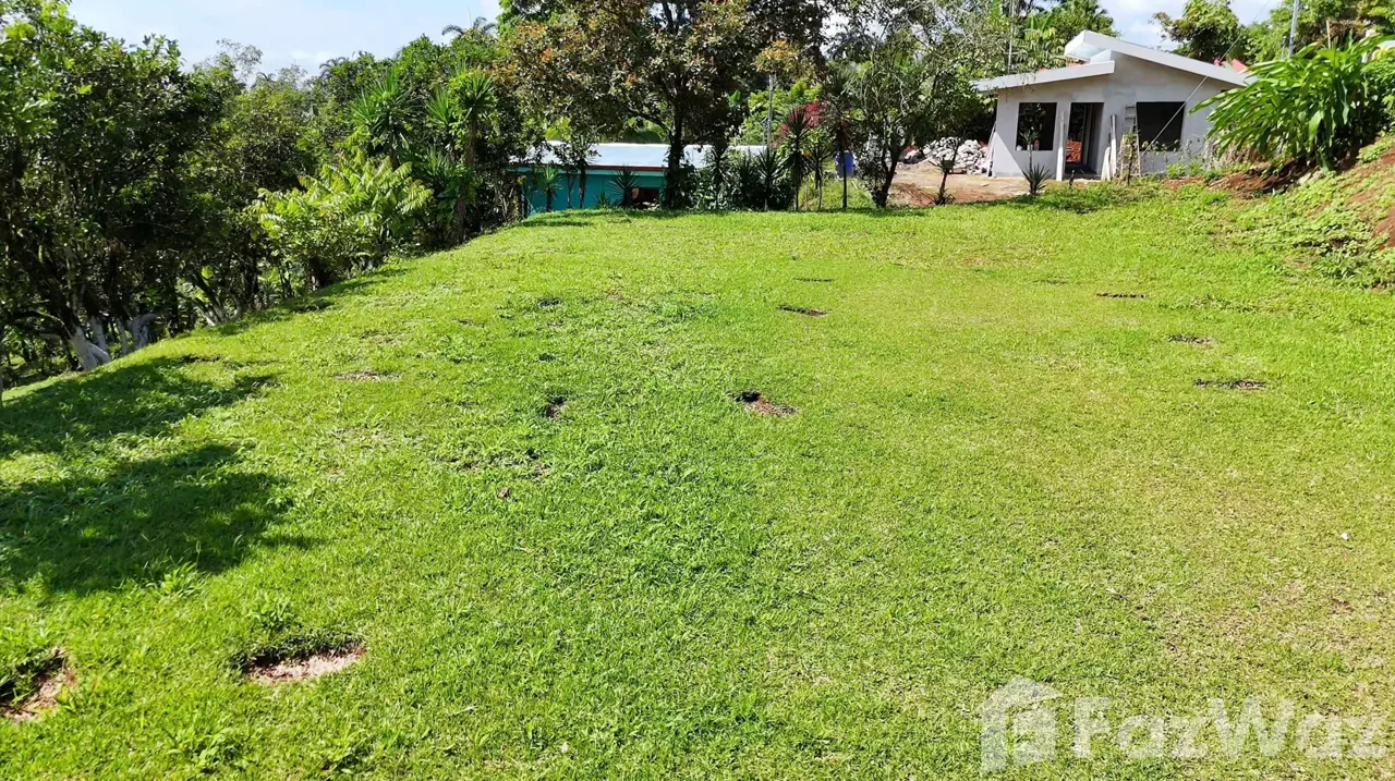 Land for Sale in Perez Zeledon, San Jose for $55,000, photo 4