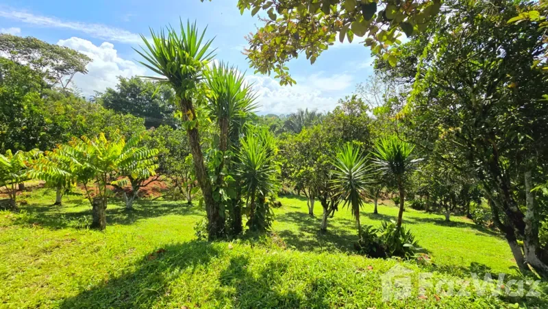 Land for Sale in Perez Zeledon, San Jose for $55,000, photo 5