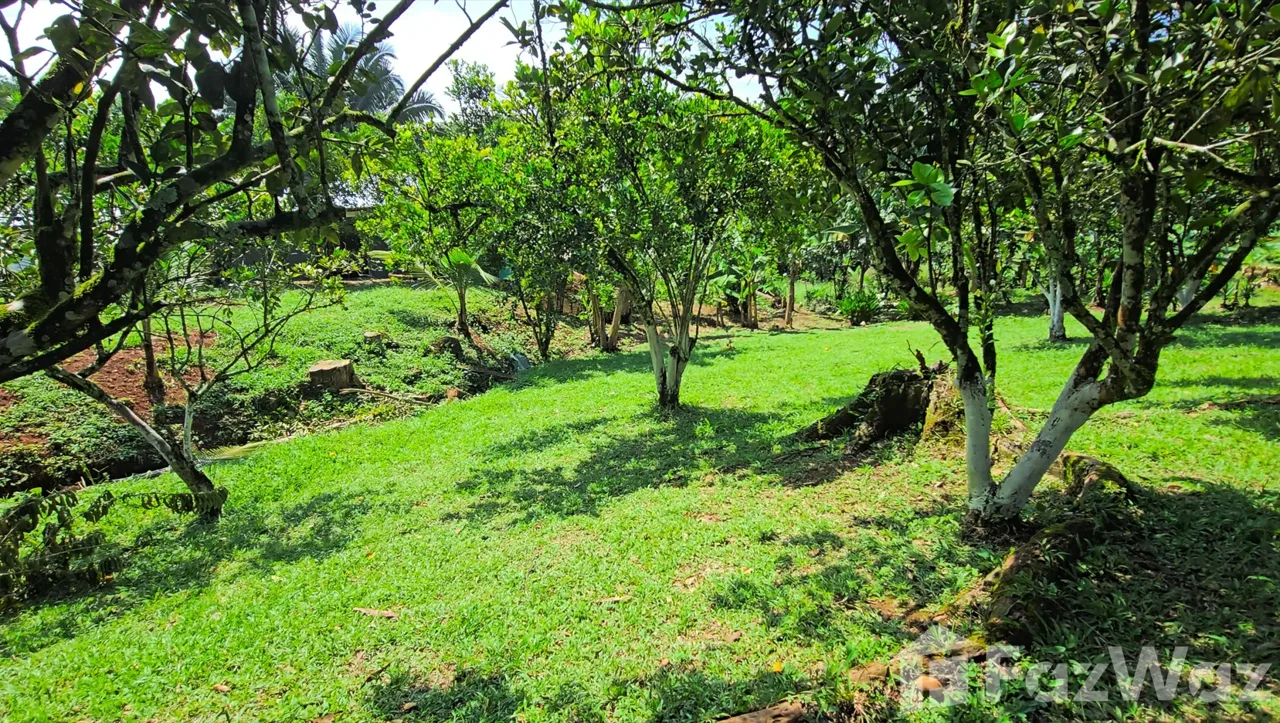 Land for Sale in Perez Zeledon, San Jose for $55,000, photo 6