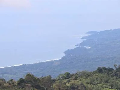 276 acres, 3 espectaculares granjas con vista al mar que lindan entre sí., photo 6