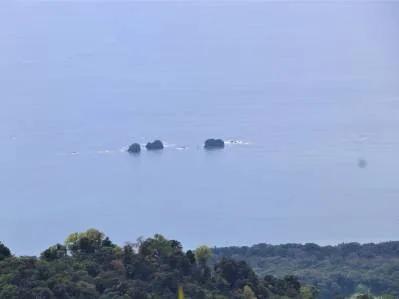276 acres, 3 espectaculares granjas con vista al mar que lindan entre sí., photo 7