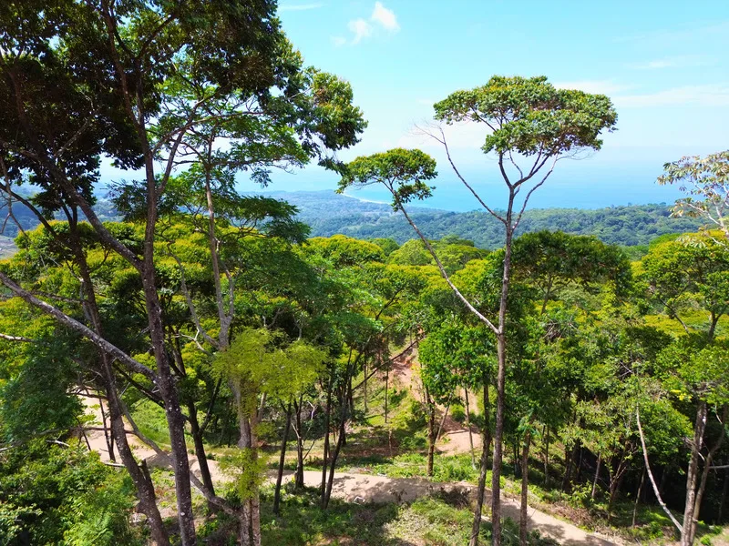 Land For Sale in Uvita, photo 2