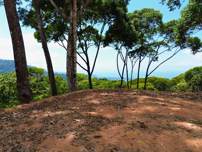 Land For Sale in Uvita, photo 12