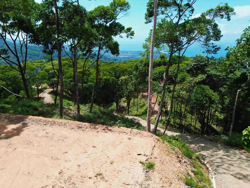 Land For Sale in Uvita, photo 15