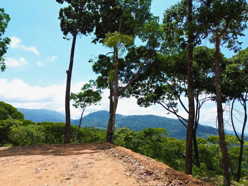 Land For Sale in Uvita, photo 5