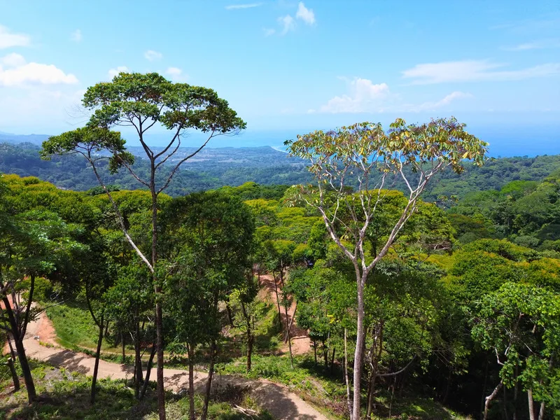 Land For Sale in Uvita, photo 8