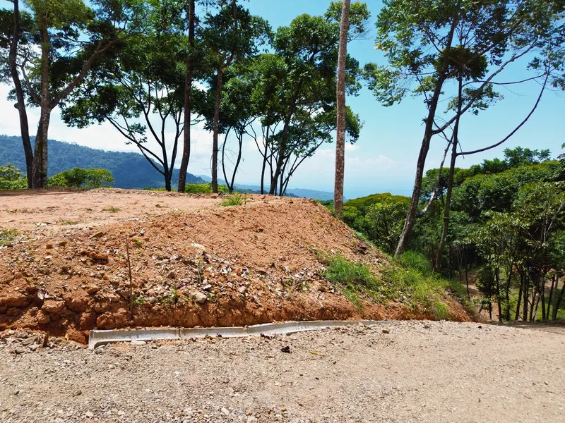 Land For Sale in Uvita, photo 9