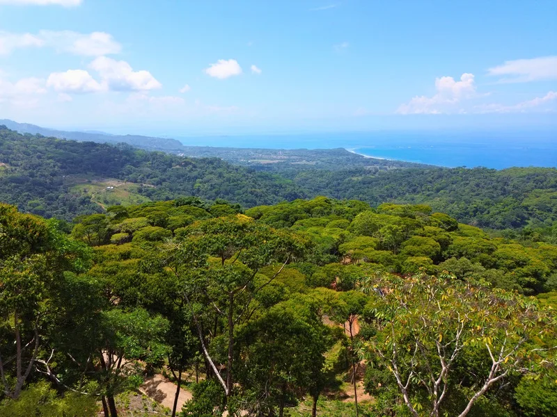 Land For Sale in Uvita, photo 10