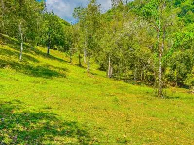 Lot 22 for Sale in Ballena Views – 3,453 m² (0.85 Acres) – Ojochal, Costa Rica, photo 2