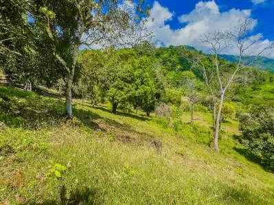 Lot 22 for Sale in Ballena Views – 3,453 m² (0.85 Acres) – Ojochal, Costa Rica, photo 10