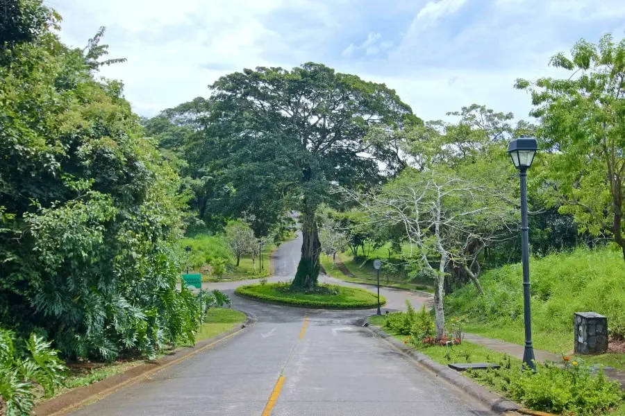 Bambues Breezes Dream Home Site | Suburban Living, photo 6