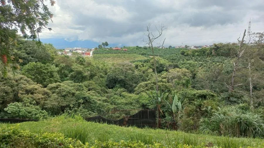 Venta de Apartamento en El Carmen de Guadalupe JJS 24-430 - Venta en Goicoechea, photo 15