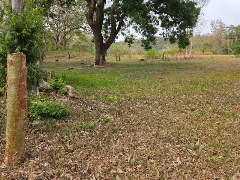 Land For Sale in Hojancha