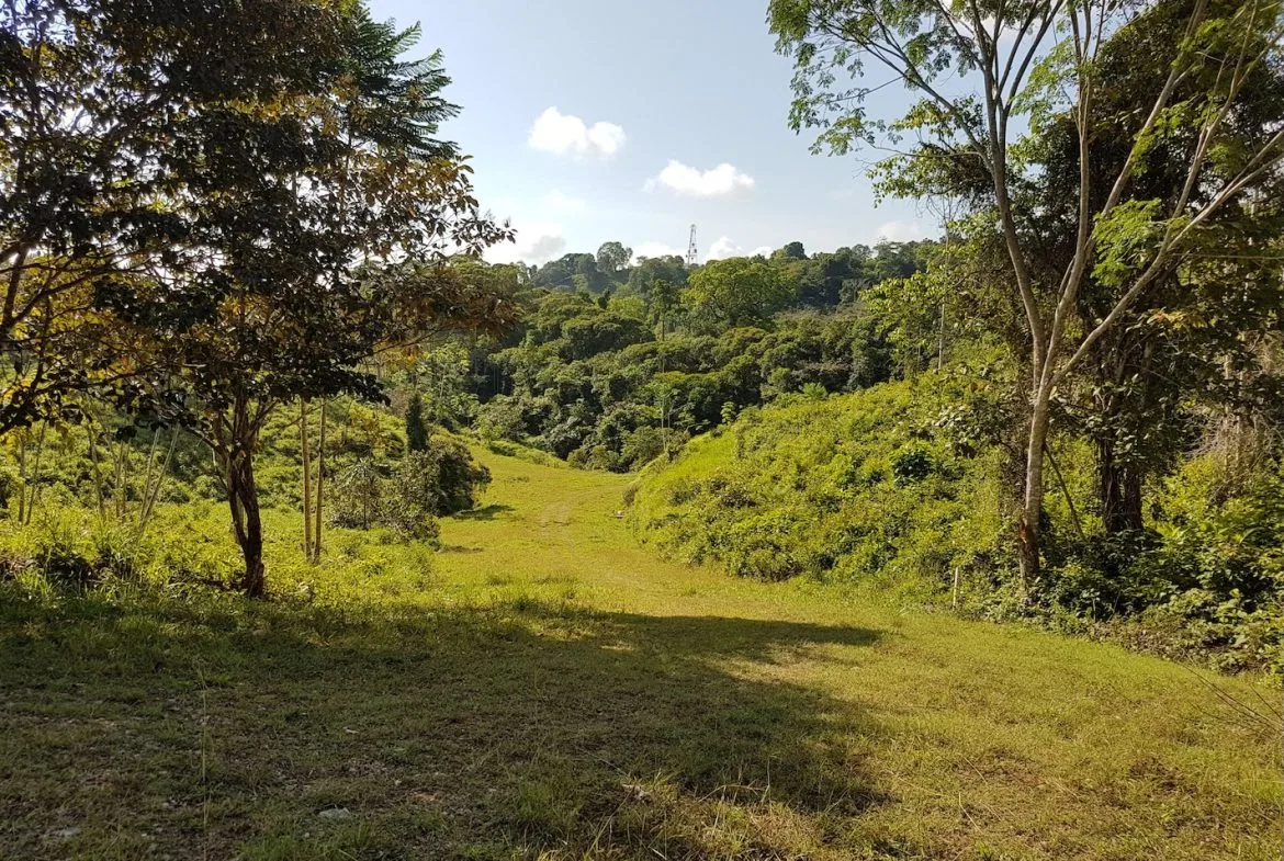 BUILDING PROPERTY WITH MOUNTAINS VIEWS, IN TORTUGA ARRIBA OJOCHAL – 1.14 ACRES, photo 2
