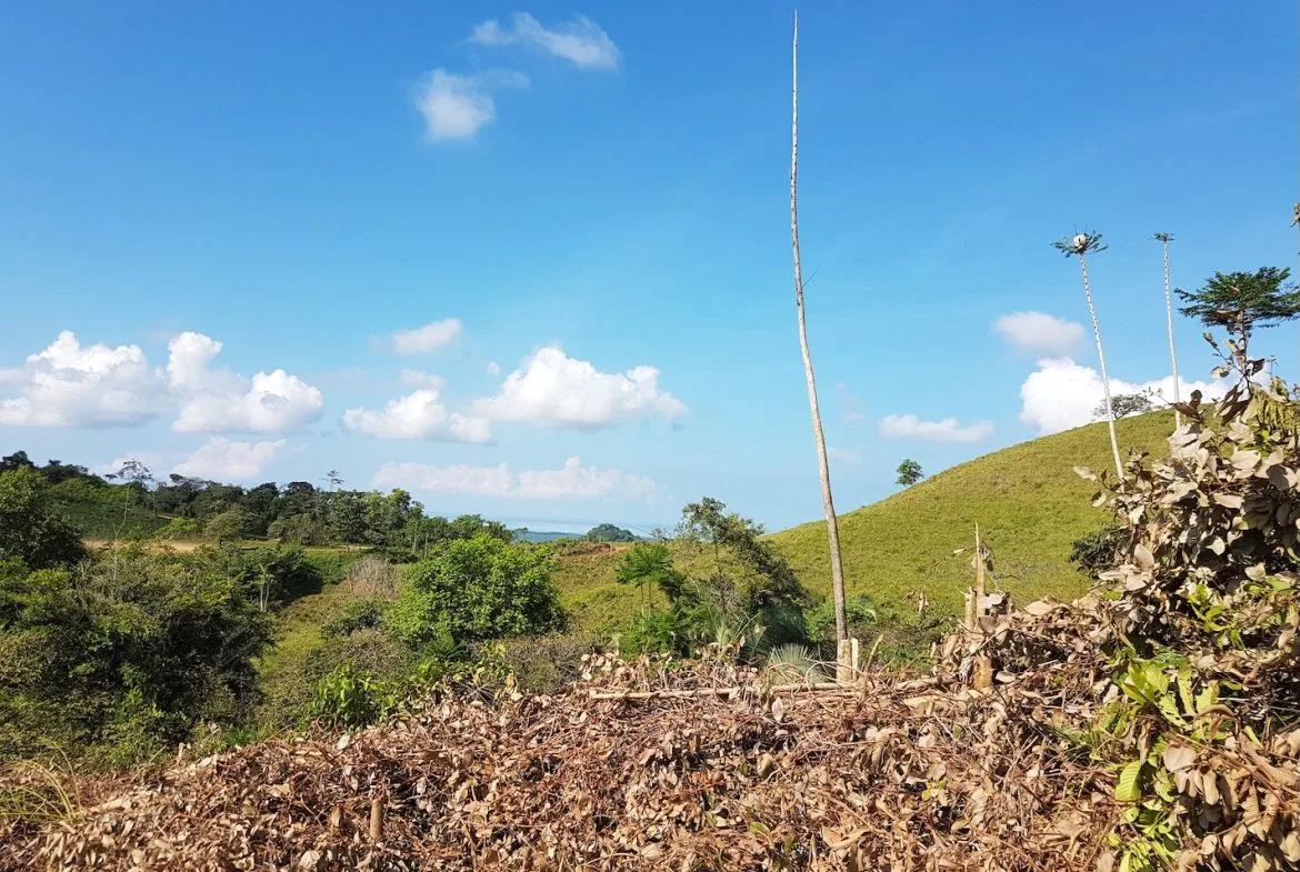 BUILDING PROPERTY WITH MOUNTAINS VIEWS, IN TORTUGA ARRIBA OJOCHAL – 1.14 ACRES, photo 12