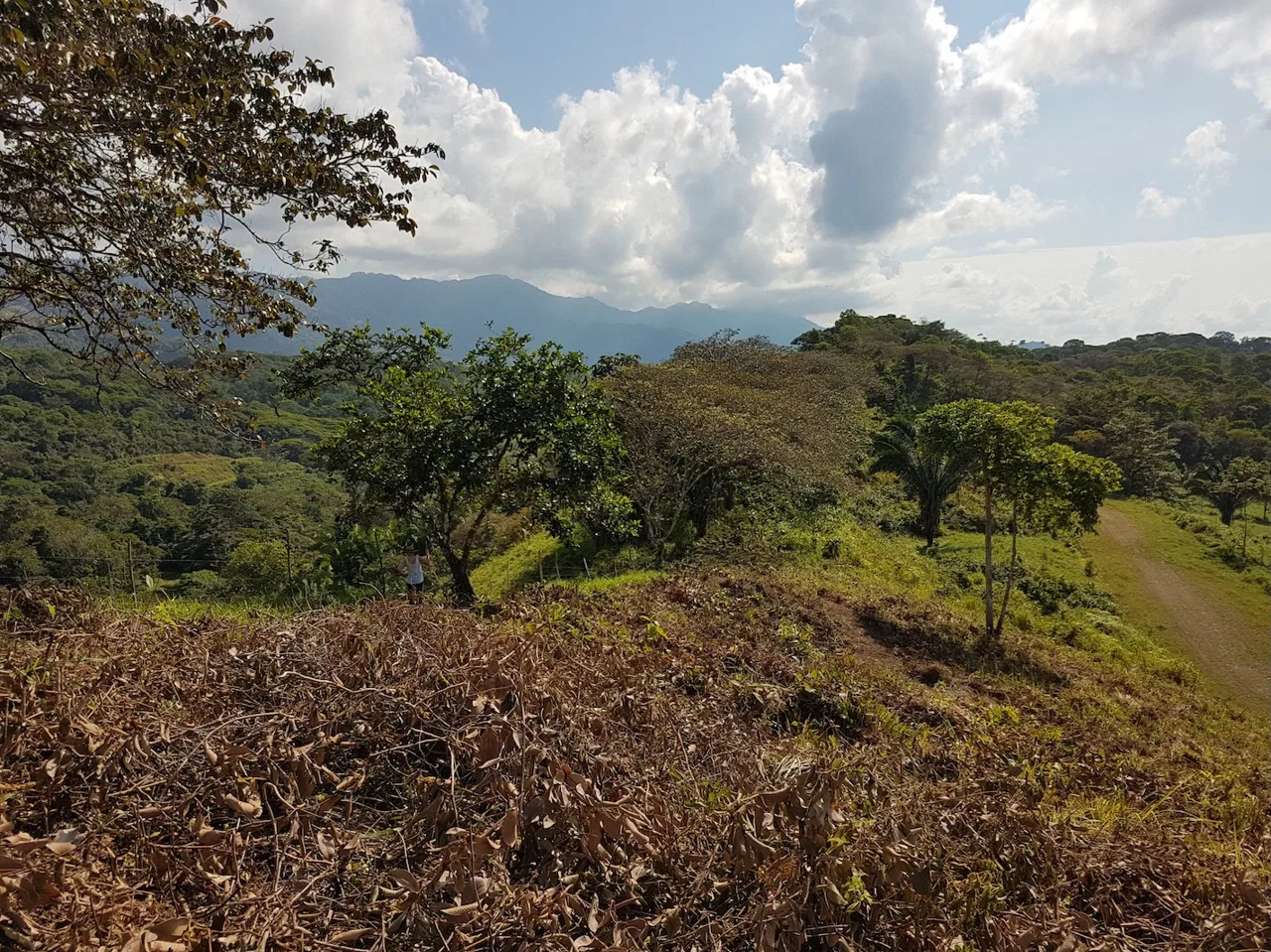 BUILDING PROPERTY WITH MOUNTAINS VIEWS, IN TORTUGA ARRIBA OJOCHAL – 1.14 ACRES, photo 13