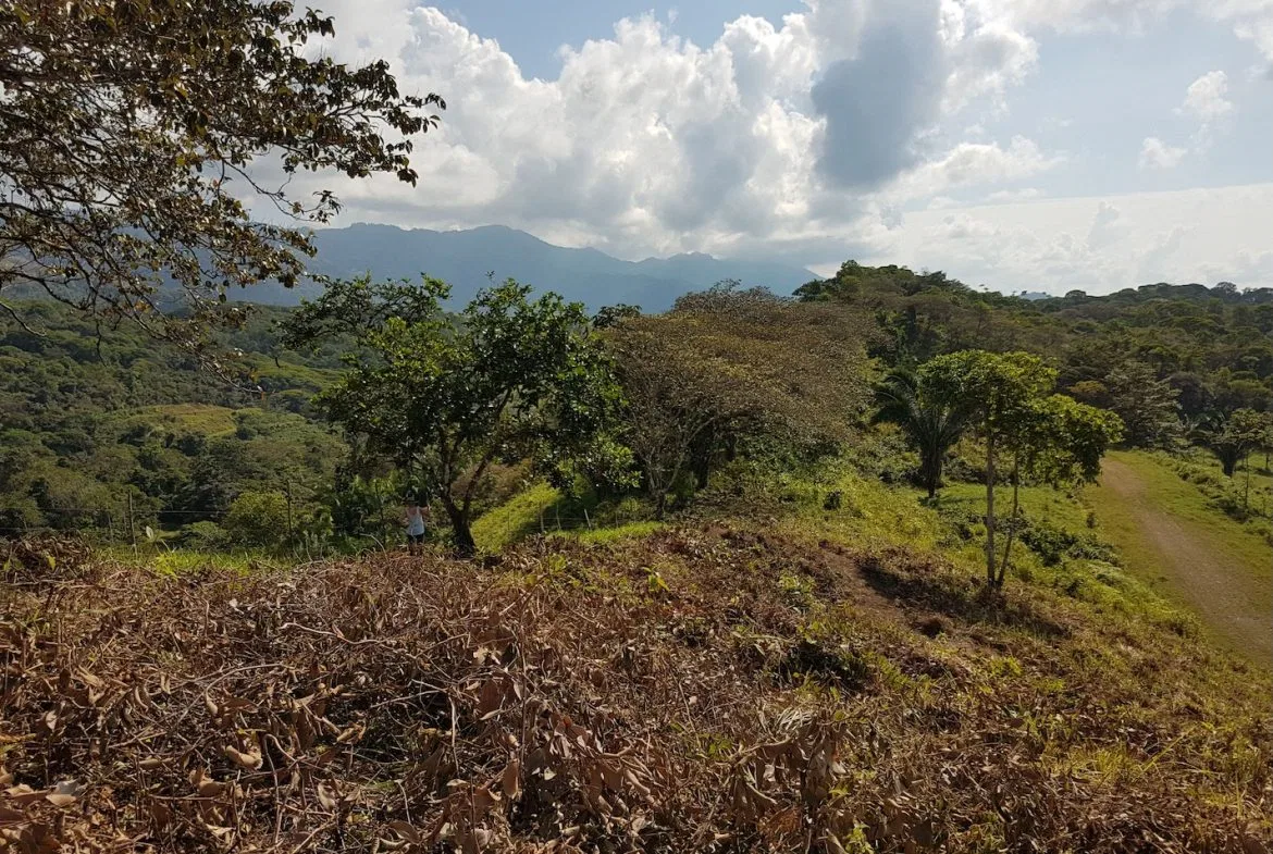 BUILDING PROPERTY WITH MOUNTAINS VIEWS, IN TORTUGA ARRIBA OJOCHAL – 1.14 ACRES, photo 14