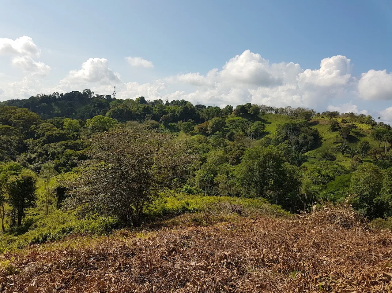 BUILDING PROPERTY WITH MOUNTAINS VIEWS, IN TORTUGA ARRIBA OJOCHAL – 1.14 ACRES, photo 17