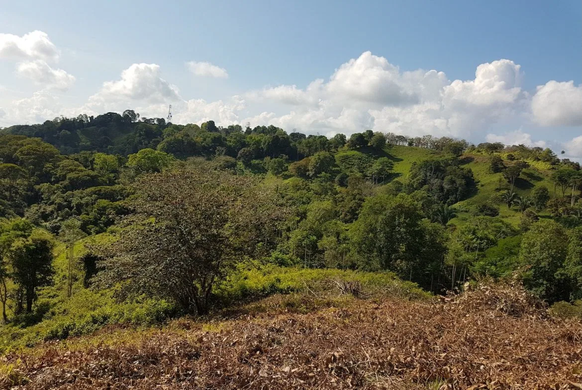 BUILDING PROPERTY WITH MOUNTAINS VIEWS, IN TORTUGA ARRIBA OJOCHAL – 1.14 ACRES, photo 18